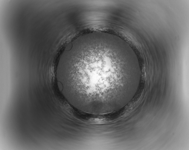 X0000094380506200711021228