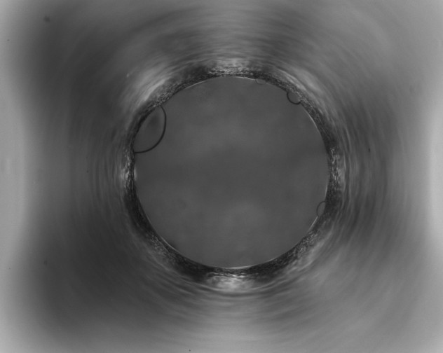 X0000094380507200711021228