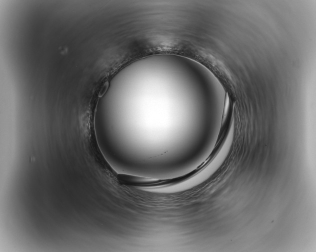 X0000094380509200711021228