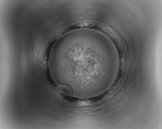 X0000094380510200711021228