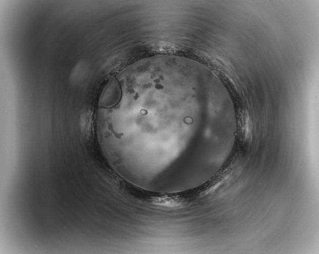 X0000094380511200711021228