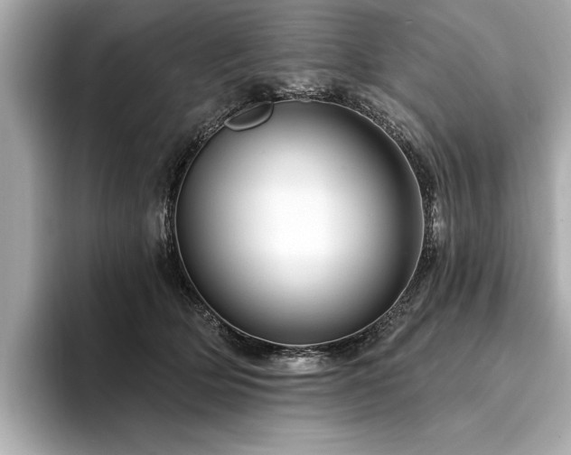 X0000094380514200711021228