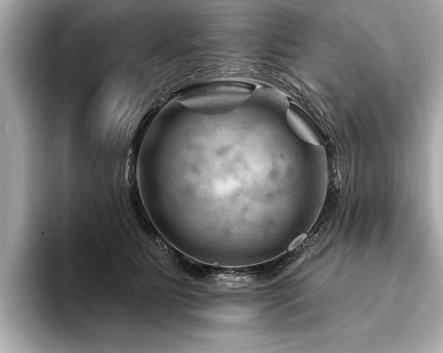 X0000094380515200711021228