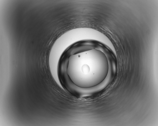 X0000094380516200711021228