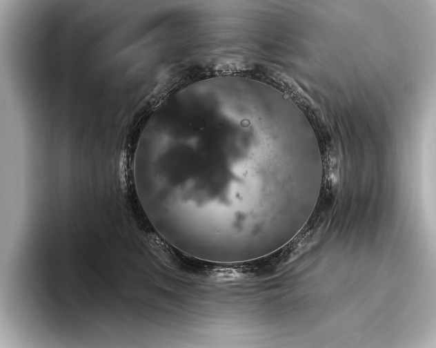 X0000094380519200711021228