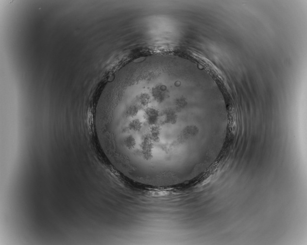 X0000094380523200711021228