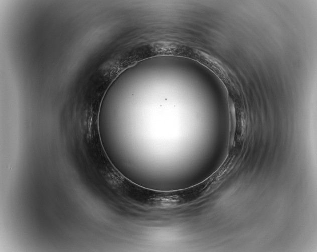X0000094380525200711021228