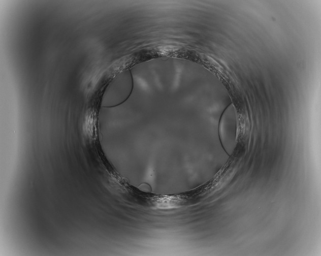 X0000094380527200711021228