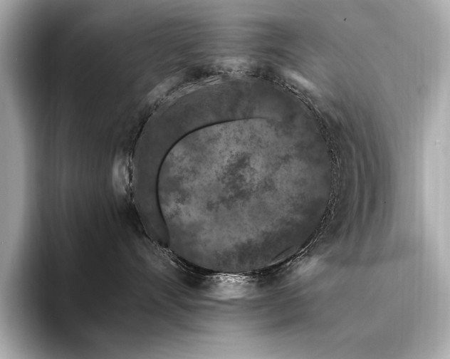 X0000094380528200711021228