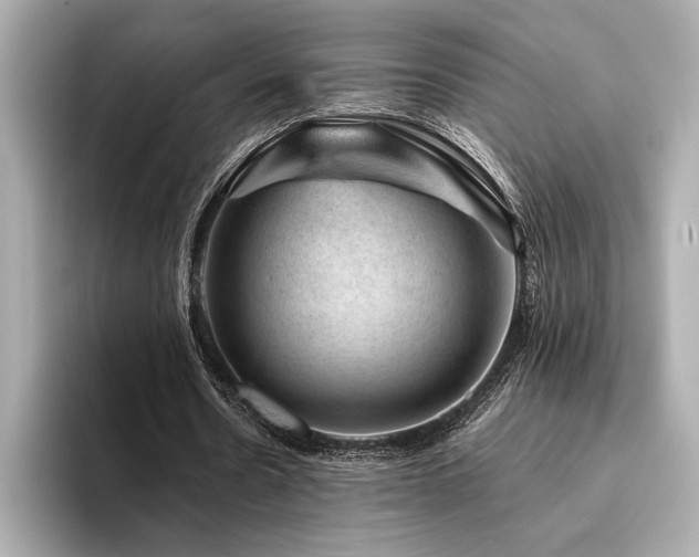 X0000094380530200711021228