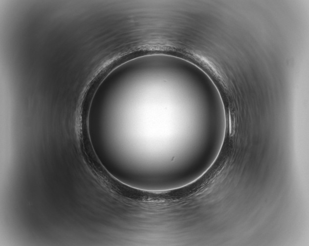 X0000094380531200711021228