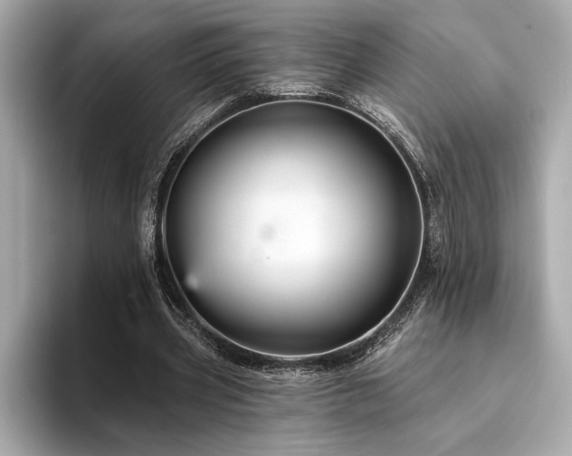 X0000094380533200711021228