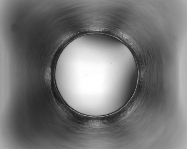 X0000094380534200711021228