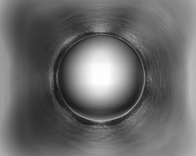 X0000094380535200711021228