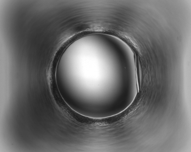 X0000094380536200711021228