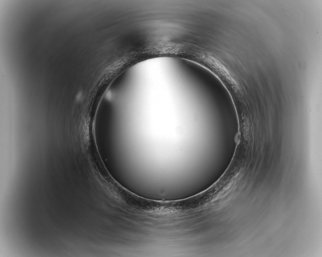 X0000094380537200711021228