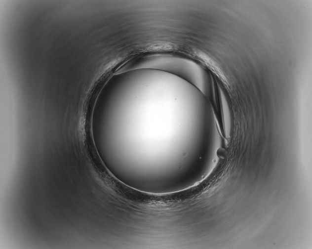 X0000094380538200711021228