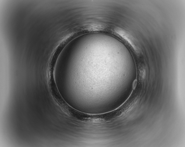 X0000094380539200711021228