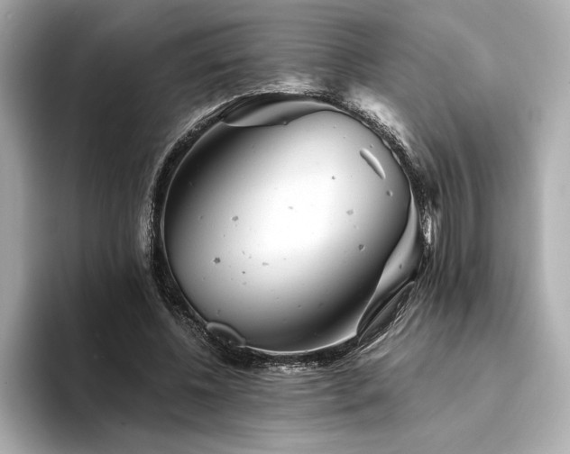 X0000094380540200711021228
