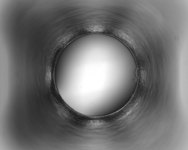 X0000094380541200711021228