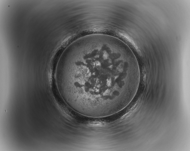 X0000094380542200711021228