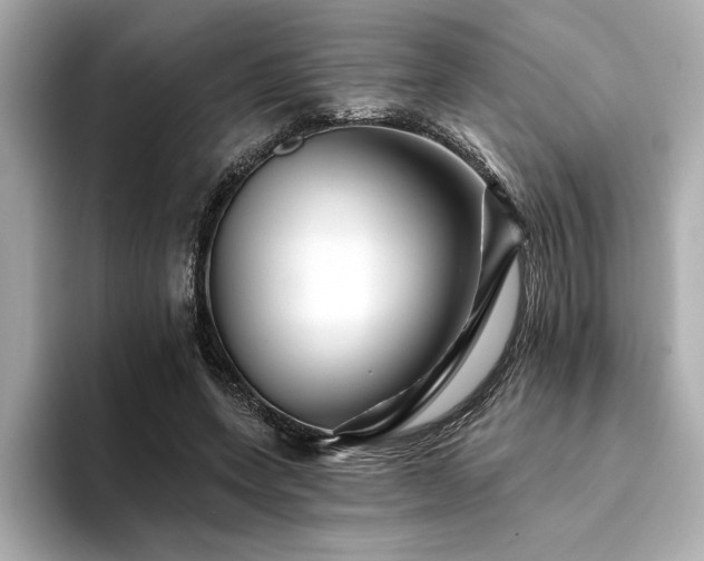 X0000094380543200711021228