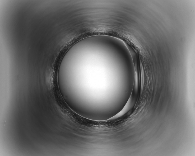 X0000094380544200711021228