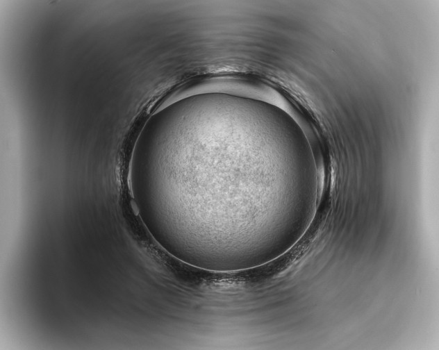 X0000094380546200711021228