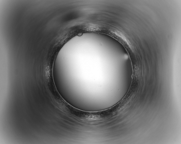 X0000094380549200711021228