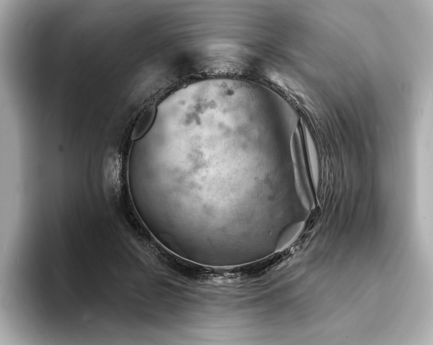 X0000094380550200711021228