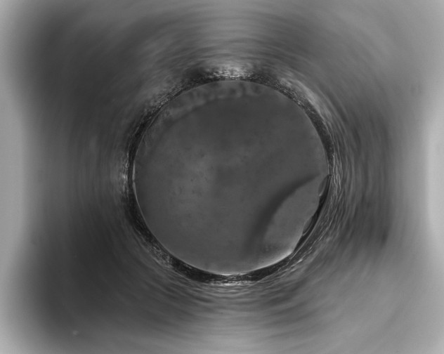 X0000094380553200711021228
