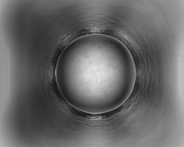 X0000094380554200711021228