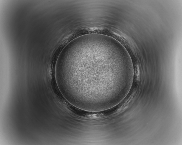 X0000094380558200711021228