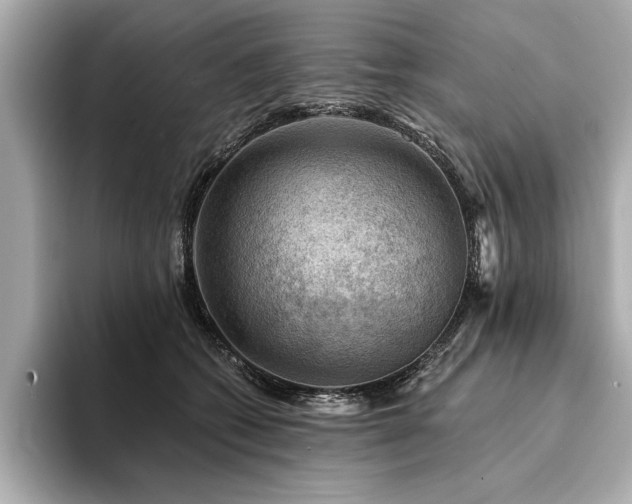 X0000094380562200711021228