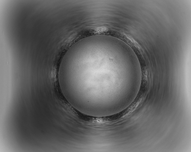 X0000094380565200711021228