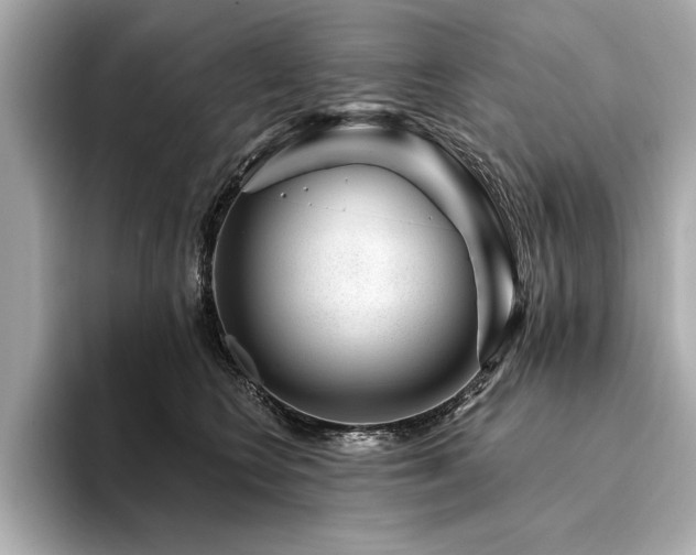 X0000094380566200711021228
