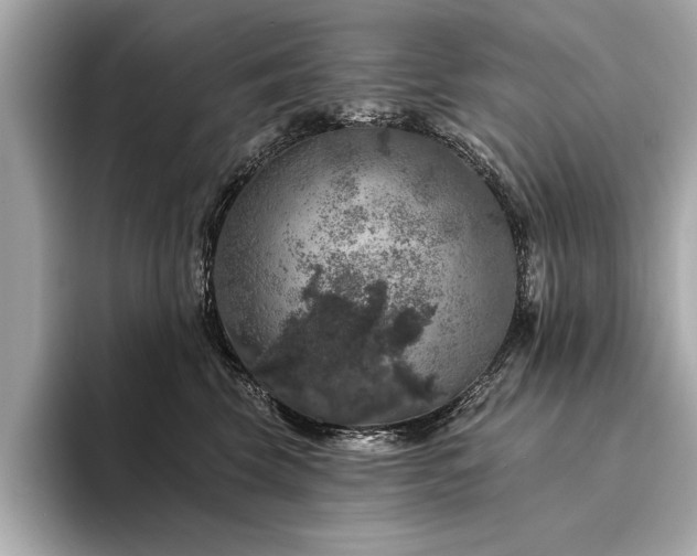 X0000094380569200711021228