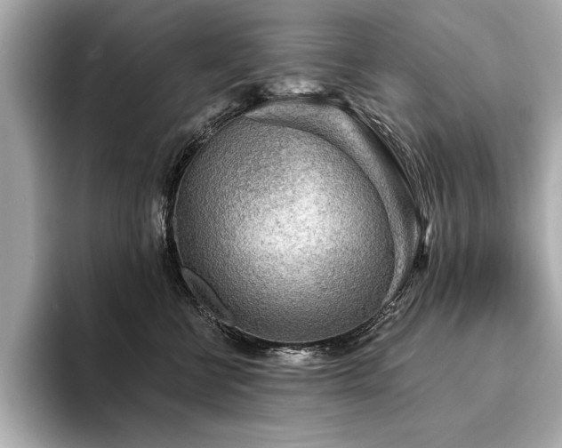 X0000094380570200711021228