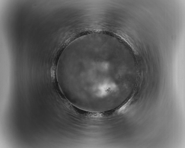 X0000094380576200711021228