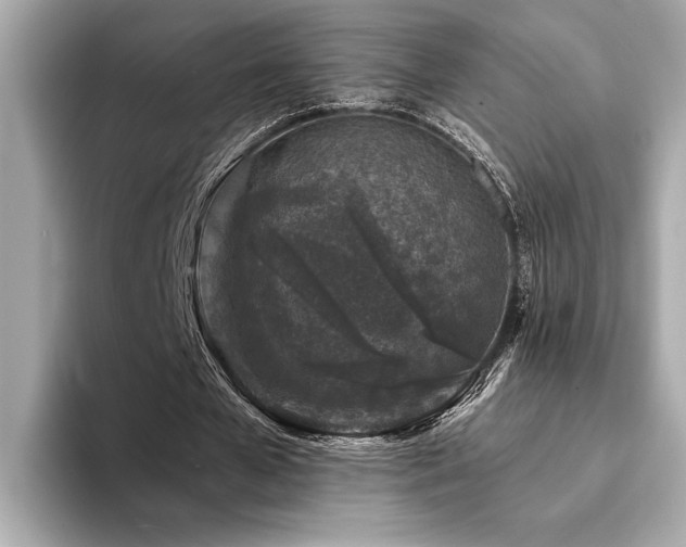 X0000094380577200711021228