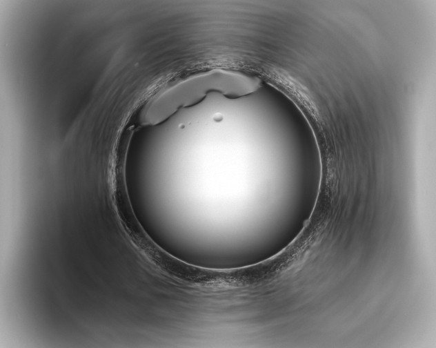 X0000094380578200711021228