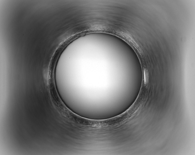 X0000094380579200711021228