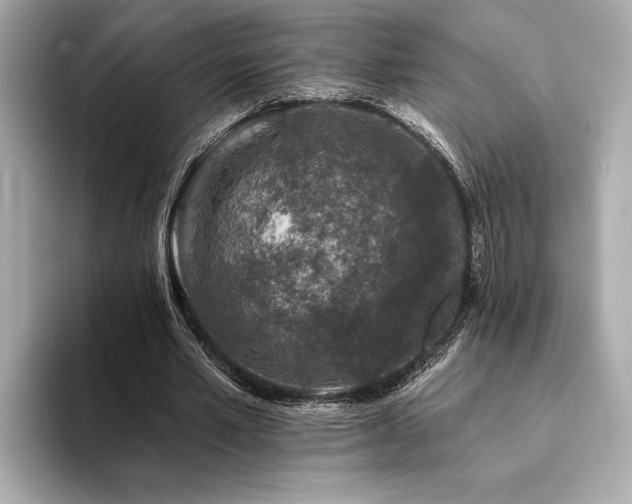 X0000094380581200711021227