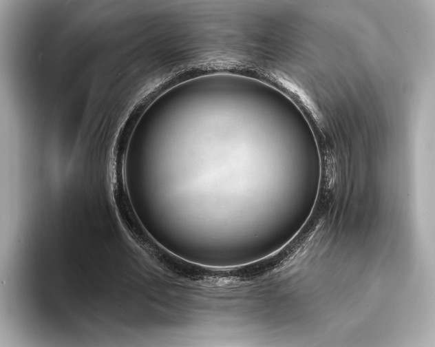 X0000094380582200711021227