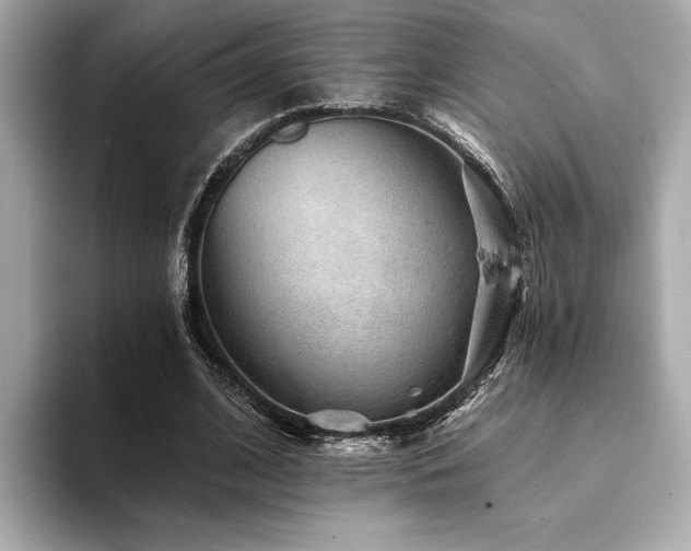X0000094380584200711021227