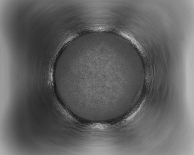 X0000094380585200711021227