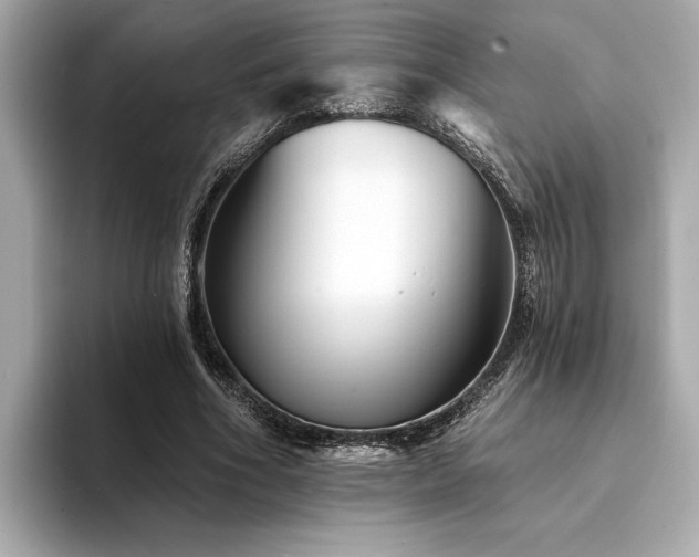 X0000094380586200711021227