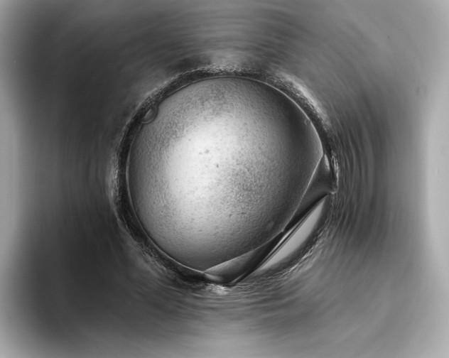 X0000094380588200711021227