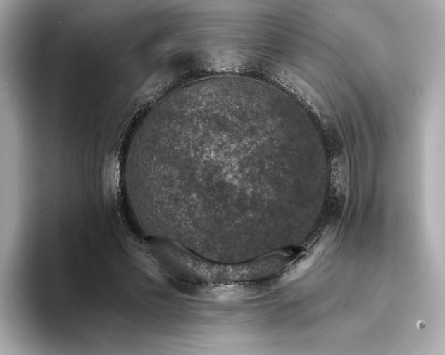 X0000094380589200711021227