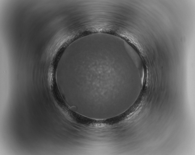 X0000094380590200711021227